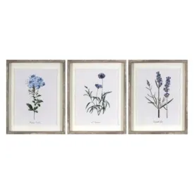 Open Box - (Set of 3) 16"x20" Framed Vintage Botanicals Decorative Wall Art - Threshold