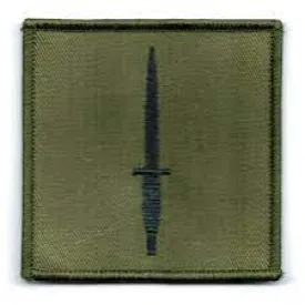 Royal Marines Tactical  Recognition Flash "Commando Dagger"